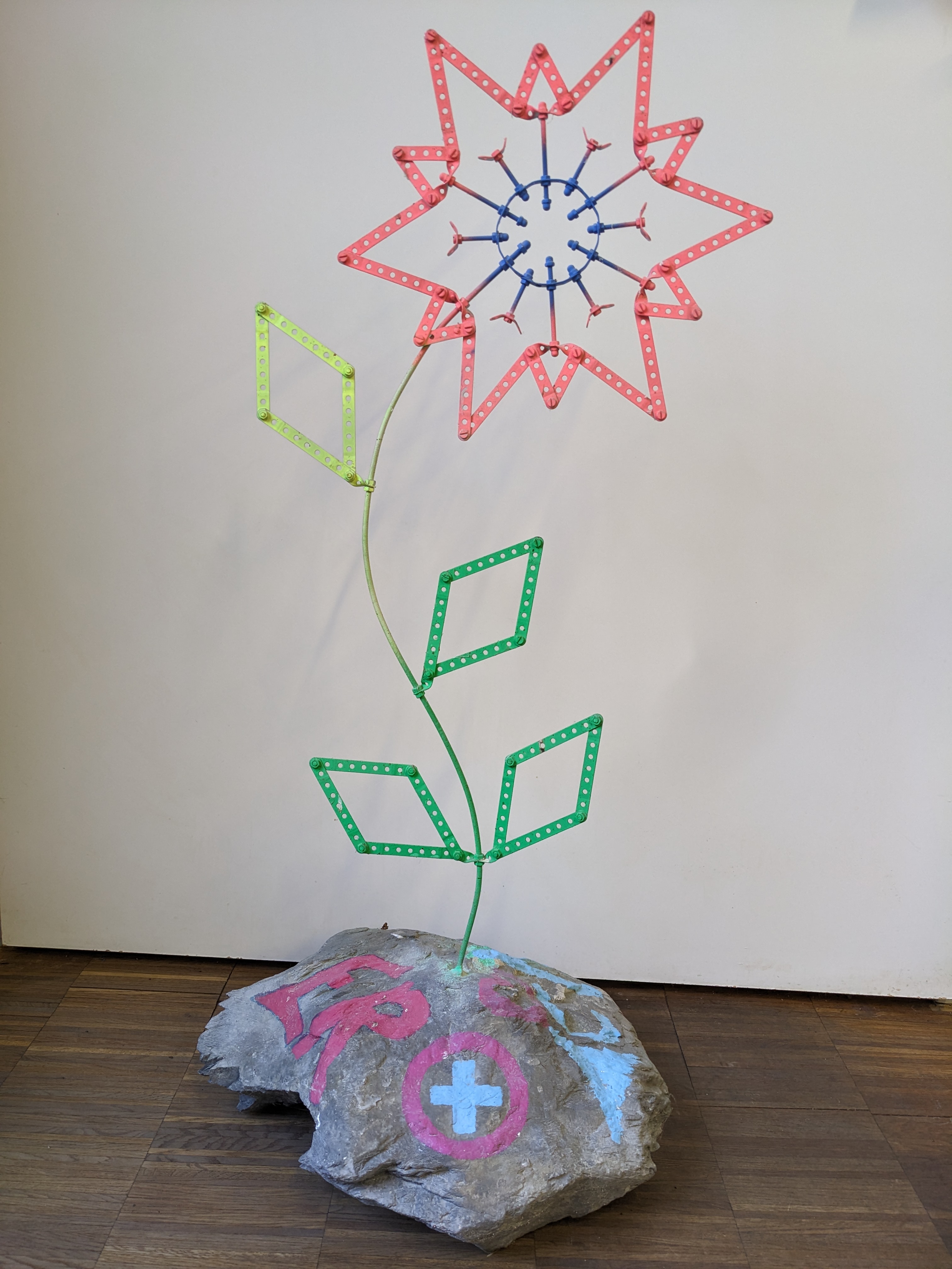 Blume1